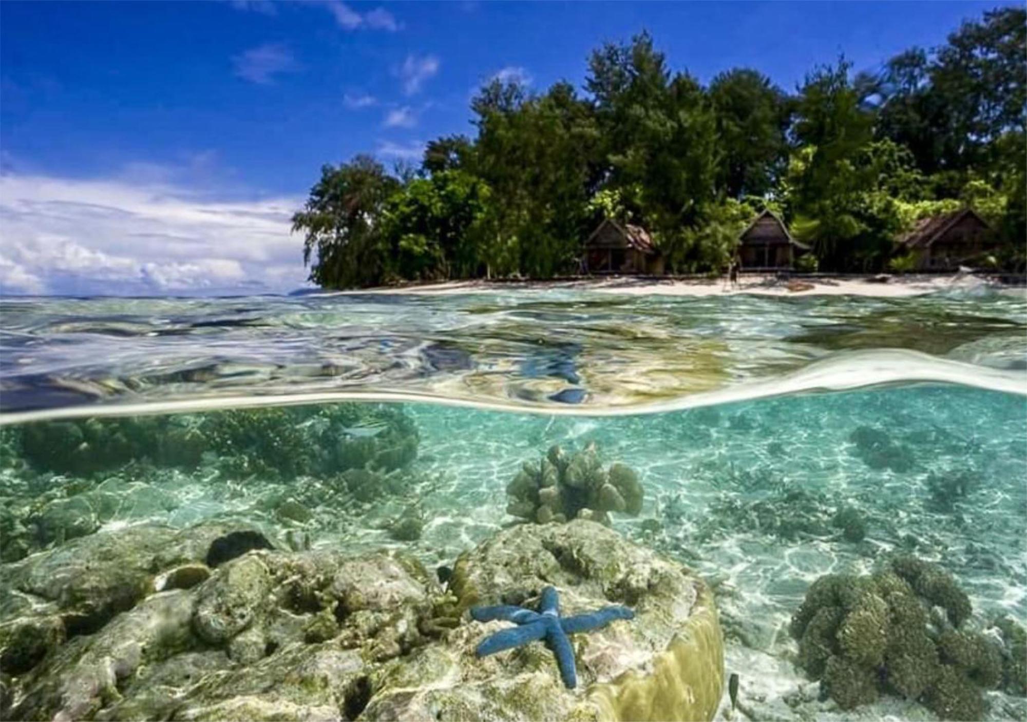 Wai Resort - Raja Ampat Pulau Birie Luaran gambar